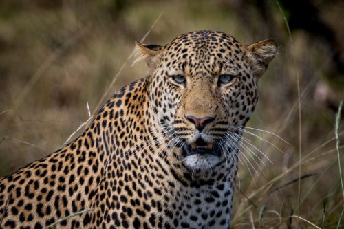 _DSC7859-Enhanced-NR