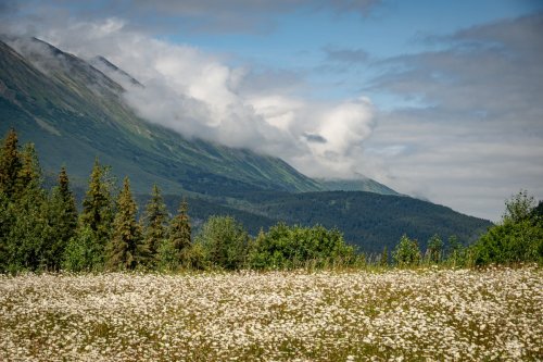 Alaska 2023 COACH 2 ALYESKA 021-Enhanced-NR