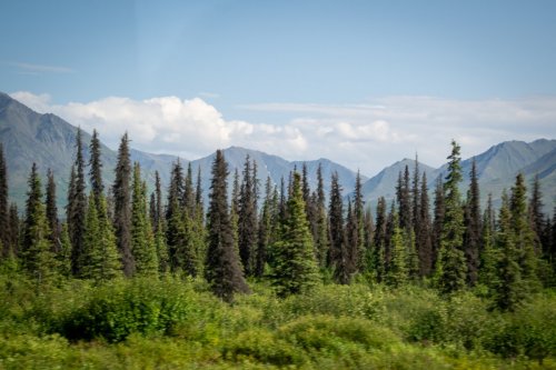 Alaska 2023 COACH 2 DENALI 153