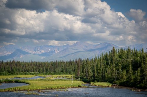 Alaska 2023 COACH 2 DENALI 187