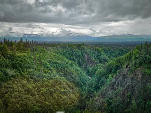 Alaska 2023 COACH 2 TALKEETNA 978