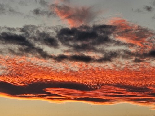 Alaska 2023 COMING HOME FR ANCHORAGE 1214