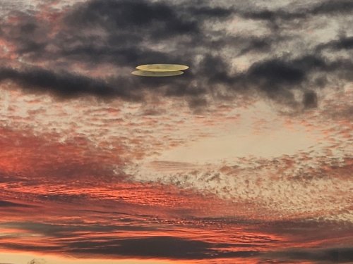 Alaska 2023 COMING HOME FR ANCHORAGE 1219