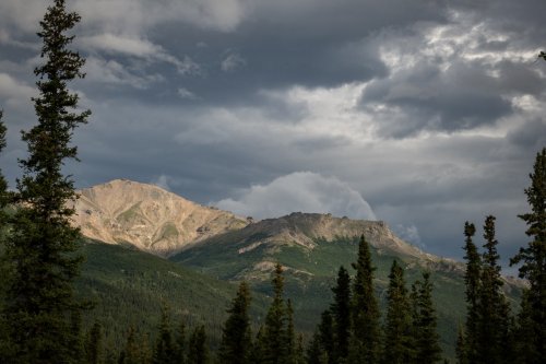 Alaska 2023 DENALI 022