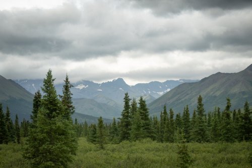 Alaska 2023 DENALI 266