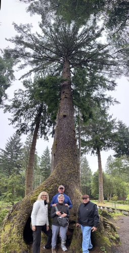 Alaska 2023 ICY STRAIT POINT PH 1333 - 001