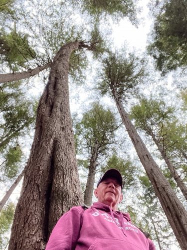 Alaska 2023 ICY STRAIT POINT PH 1375 - 001