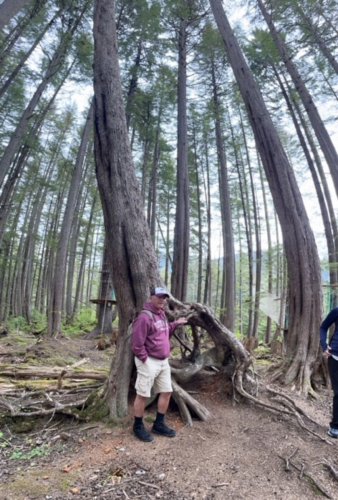 Alaska 2023 ICY STRAIT POINT PH 1378 - 001
