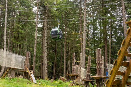 Alaska 2023 ICY STRAIT PONT-103