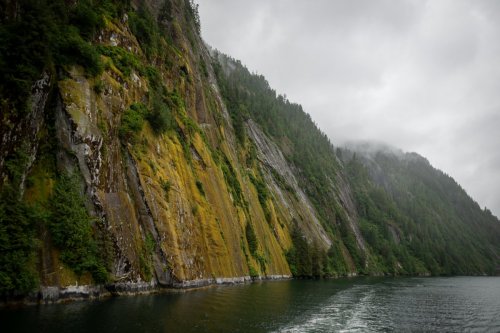 Alaska 2023 KETCHIKAN-174