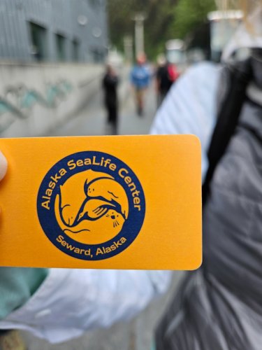 Alaska 2023 SEWARD PH 741