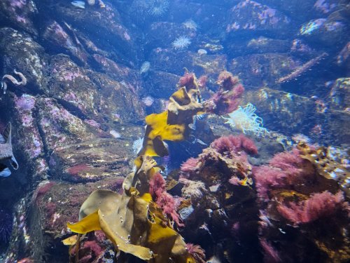 Alaska 2023 SEWARD PH 744