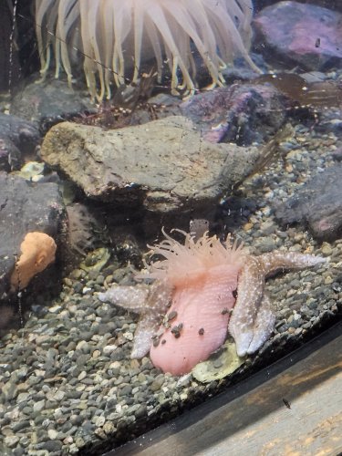 Alaska 2023 SEWARD PH 755