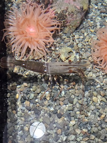 Alaska 2023 SEWARD PH 760