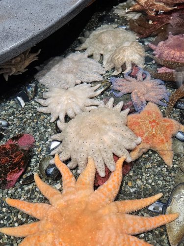 Alaska 2023 SEWARD PH 767