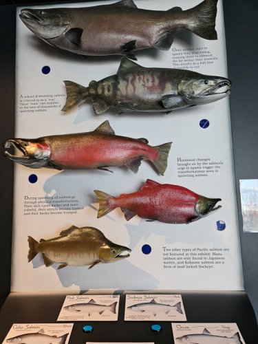 Alaska 2023 SEWARD PH 780