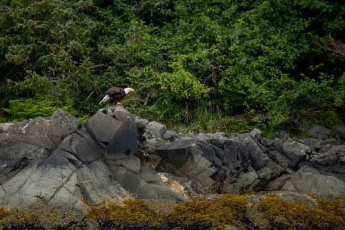 Alaska 2023 SITKA-071-Enhanced-NR-Edit