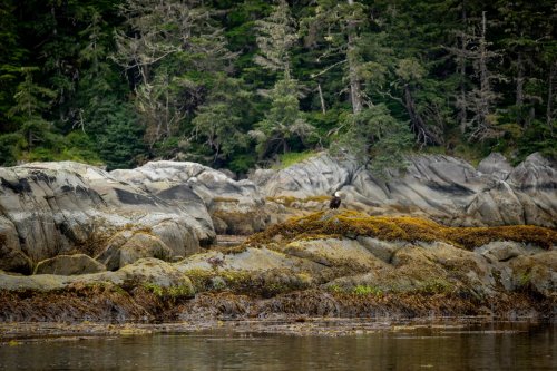 Alaska 2023 SITKA-342-Enhanced-NR-Edit-Edit