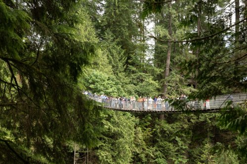 Alaska 2023 VANCOVER-099