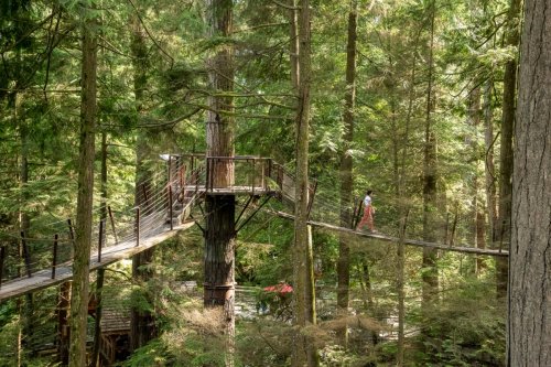 Alaska 2023 VANCOVER-141-Edit