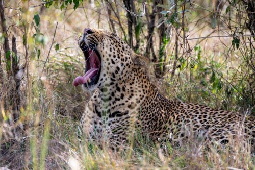 _DSC7450-Enhanced-NR-Edit