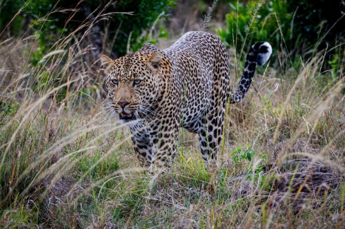 _DSC7458-Enhanced-NR-Edit