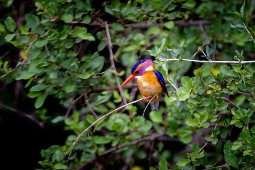 _DSC7752-Enhanced-NR-Edit