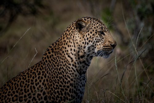 _DSC7872-Enhanced-NR-Edit