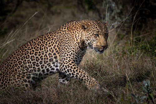 _DSC7878-Enhanced-NR-Edit