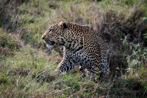 _DSC7955-Enhanced-NR-Edit