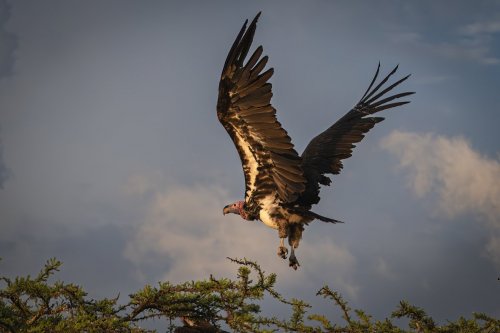 _DSC8125-Enhanced-NR-Edit