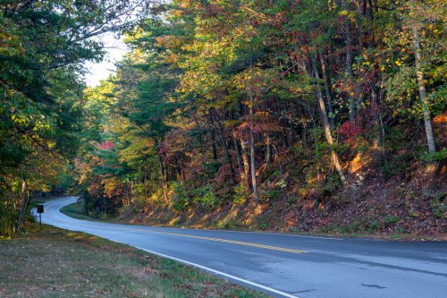 FCPC Tennessee-2 (2 of 22)