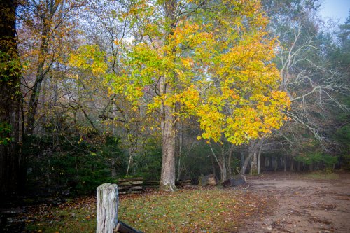 FCPC Tennessee-2 (9 of 22)