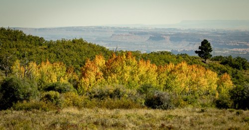 Southwest On The Road - 818-To Capitol Reef