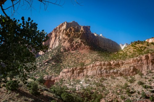 Southwest Zion - 158
